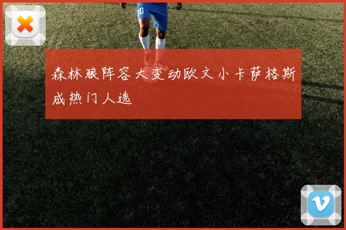 森林狼阵容大变动欧文小卡萨格斯成热门人选
